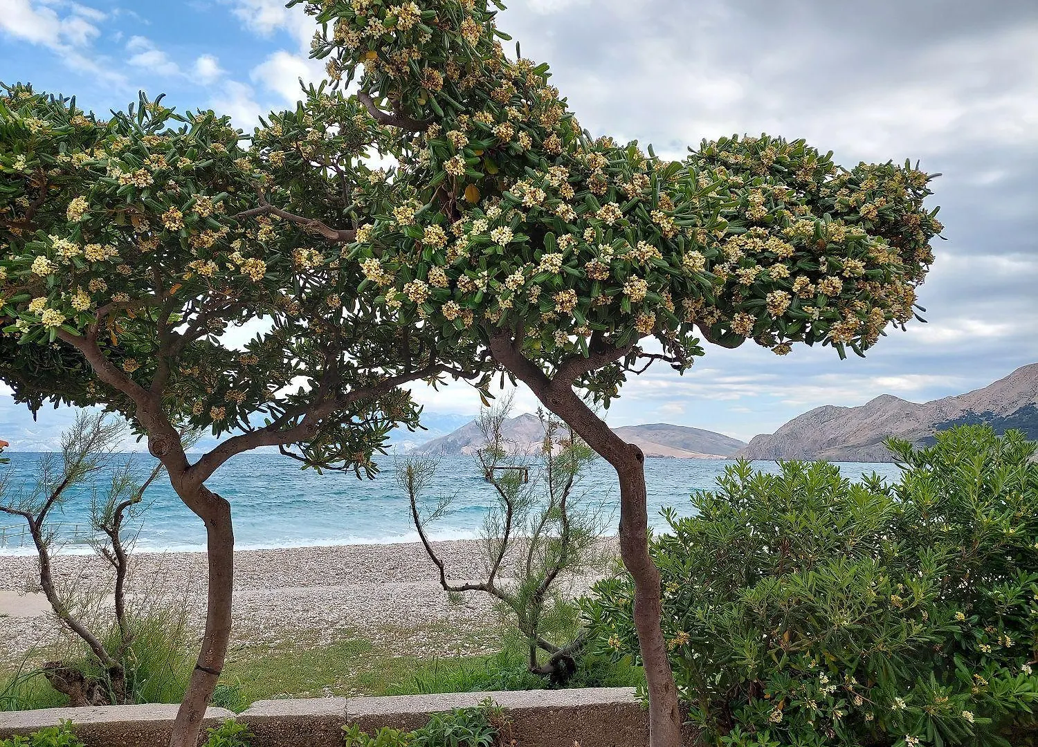 Nur 300 Meter Zum Feinkieselstrand Baska